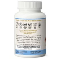 ECHINACEA GOLDENSEAL CAPSULES