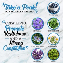 Fire Brew - RELAX Blueberry Apple Cider Vinegar Tonic (Non-Spicy Fire Cider Recipe)