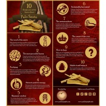 Prabhuji Kit - Palo Santo Cinnamon Cones With Burner