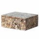 Prabhuji Onyx Box - Small Rectangle Coral