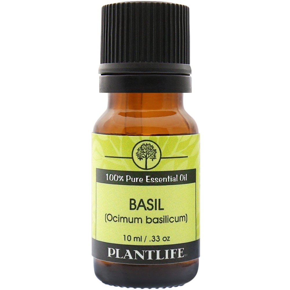 Basil Essential Oil Basil Essential Oil