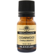 Cedarwood Essential Oil - Tree Spirit Wellness