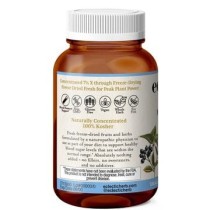 BLOOD SUGAR SUPPORT POWDER