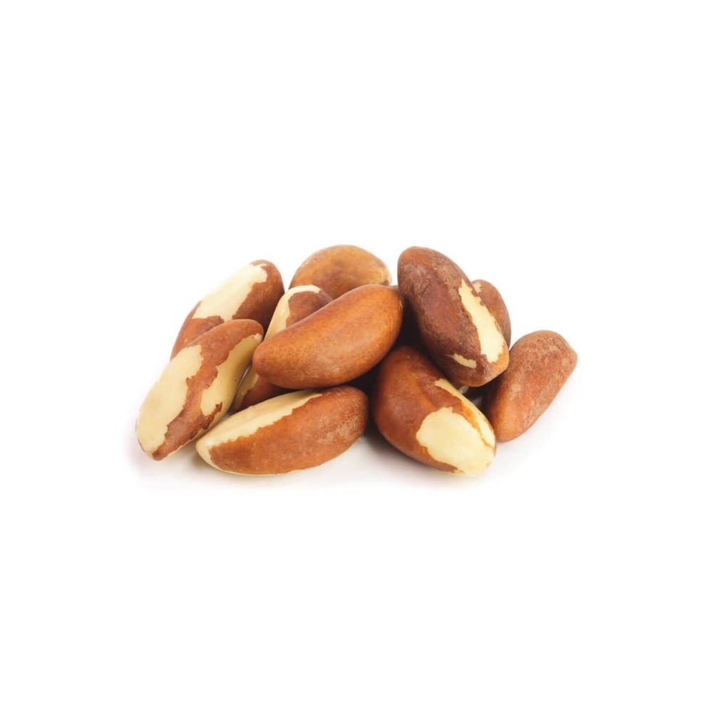 Nuts | Raw | Soaked & Dried | Certified Organic | Brazil Nuts | 25 lb. Case
