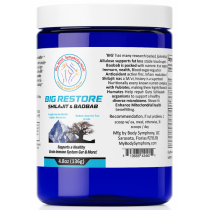 BIG Restore - new formulation