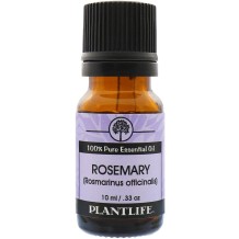 Rosemary Essential Oil - Tree Spirit Wellness