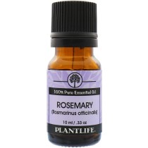 Rosemary Essential Oil - Tree Spirit Wellness