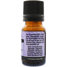 Rosemary Essential Oil - Tree Spirit Wellness