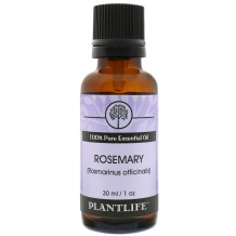 Rosemary Essential Oil - Tree Spirit Wellness
