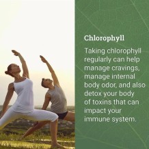 Liquid Chlorophyll - 2 oz