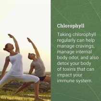 Liquid Chlorophyll - 2 oz