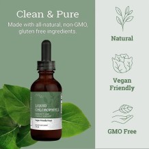 Liquid Chlorophyll - 2 oz