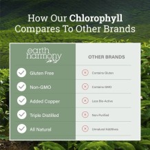 Liquid Chlorophyll - 2 oz