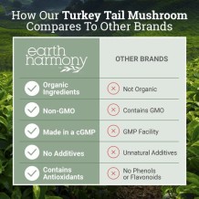 Turkey Tail  - 120 cap