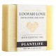 Loofah Love Exfoliating Bar Soap -  box of 6
