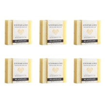 Loofah Love Exfoliating Bar Soap -  box of 6