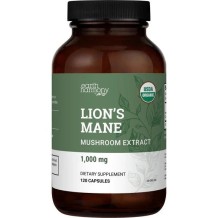 Lion's Mane - 120 cap