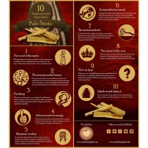 Palo Santo and Copal Incense Cones - Love and Purity - 6 Cones - Wholesale and Retail by Prabhuji's Gifts