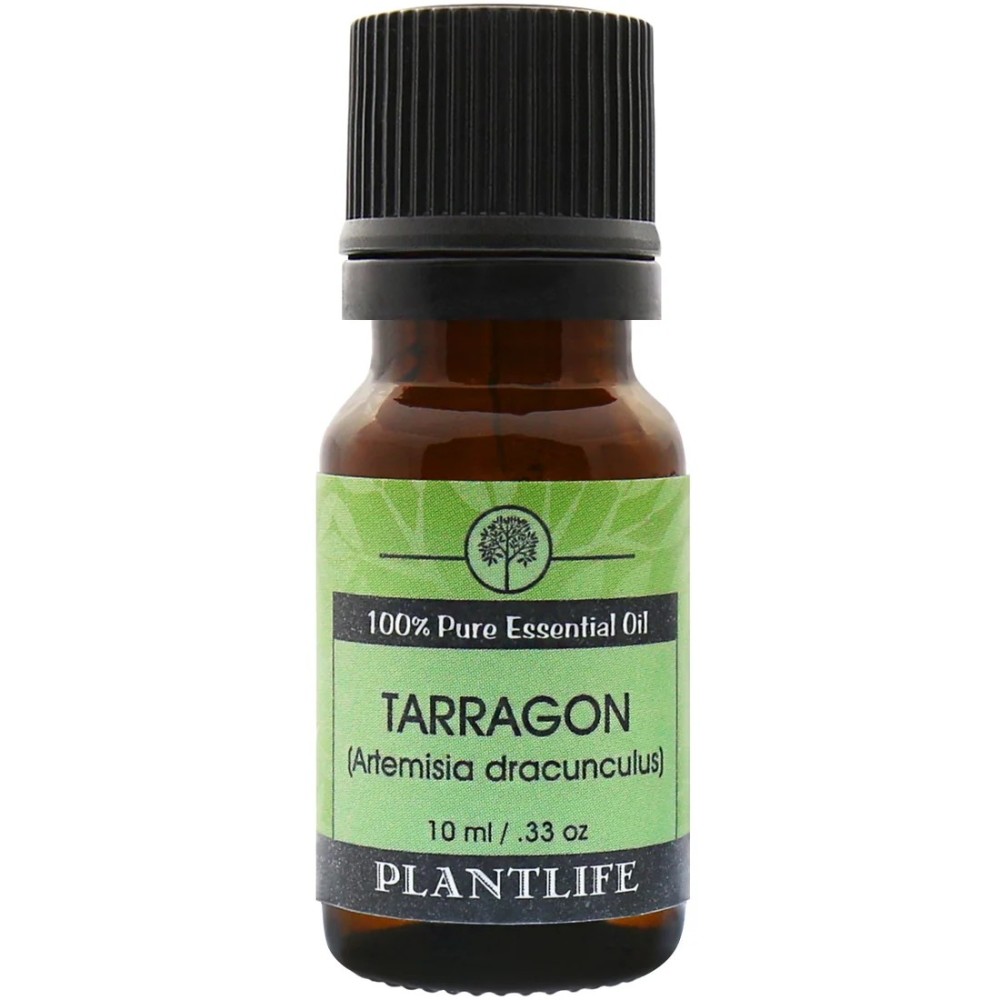 Tarragon Essential Oil Tarragon Essential Oil