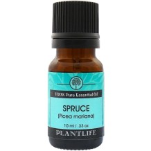 Spruce Essential Oil | 100% Pure Essential Oils | Plantlife