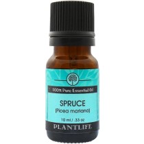 Spruce Essential Oil | 100% Pure Essential Oils | Plantlife