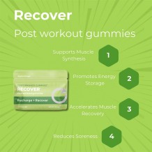 Apple Ginger Recover Gummies | Seattle Gummy Post‑Workout