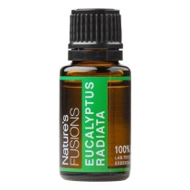 Eucalyptus Radiata Essential oil - 15 ml - Tree Spirit Wellness