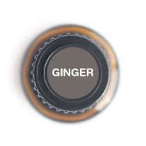 Nature Fusion Ginger Essential Oil - Warming & Soothing