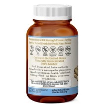 ELDERBERRY IMMUNE POWDER