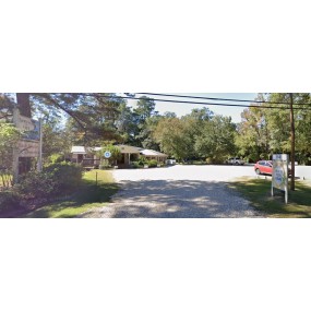 Springs of Life Springs of Life